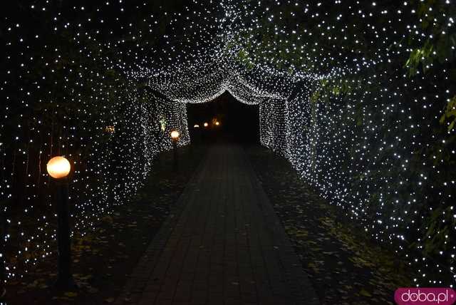 [WIDEO, FOTO] Park Iluminacji w Zamku Topacz pod Wrocławiem już otwarty. Zobacz cennik i godziny otwarcia
