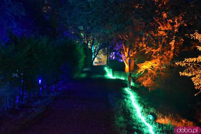 [WIDEO, FOTO] Park Iluminacji w Zamku Topacz pod Wrocławiem już otwarty. Zobacz cennik i godziny otwarcia