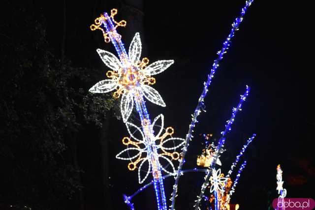 [WIDEO, FOTO] Park Iluminacji w Zamku Topacz pod Wrocławiem już otwarty. Zobacz cennik i godziny otwarcia