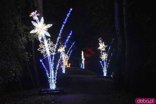 [WIDEO, FOTO] Park Iluminacji w Zamku Topacz pod Wrocławiem już otwarty. Zobacz cennik i godziny otwarcia