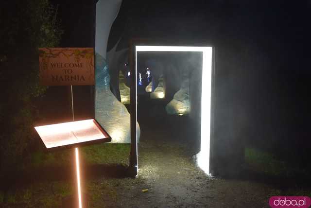 [WIDEO, FOTO] Park Iluminacji w Zamku Topacz pod Wrocławiem już otwarty. Zobacz cennik i godziny otwarcia