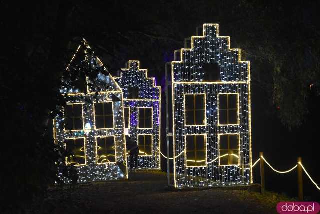 [WIDEO, FOTO] Park Iluminacji w Zamku Topacz pod Wrocławiem już otwarty. Zobacz cennik i godziny otwarcia