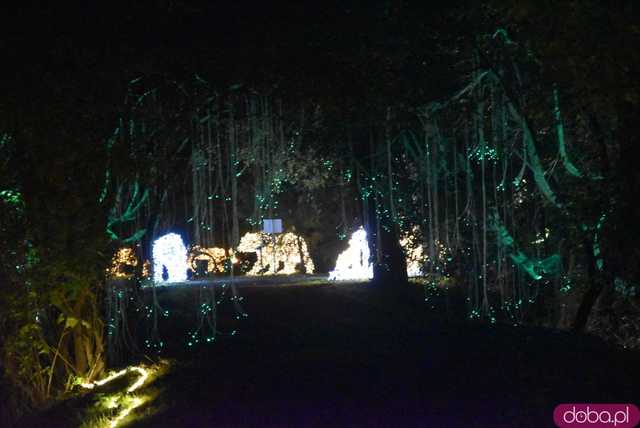 [WIDEO, FOTO] Park Iluminacji w Zamku Topacz pod Wrocławiem już otwarty. Zobacz cennik i godziny otwarcia