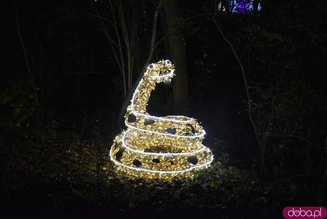 [WIDEO, FOTO] Park Iluminacji w Zamku Topacz pod Wrocławiem już otwarty. Zobacz cennik i godziny otwarcia