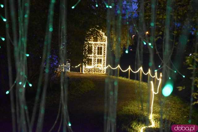 [WIDEO, FOTO] Park Iluminacji w Zamku Topacz pod Wrocławiem już otwarty. Zobacz cennik i godziny otwarcia