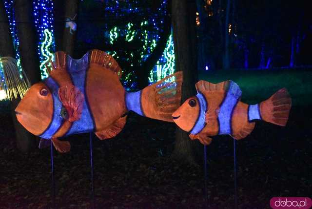 [WIDEO, FOTO] Park Iluminacji w Zamku Topacz pod Wrocławiem już otwarty. Zobacz cennik i godziny otwarcia