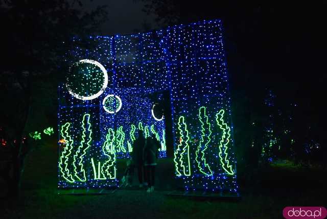 [WIDEO, FOTO] Park Iluminacji w Zamku Topacz pod Wrocławiem już otwarty. Zobacz cennik i godziny otwarcia