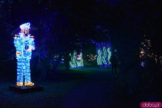 [WIDEO, FOTO] Park Iluminacji w Zamku Topacz pod Wrocławiem już otwarty. Zobacz cennik i godziny otwarcia