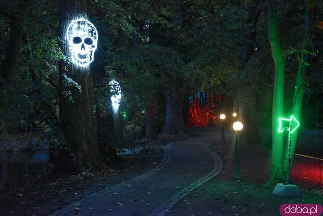 [WIDEO, FOTO] Park Iluminacji w Zamku Topacz pod Wrocławiem już otwarty. Zobacz cennik i godziny otwarcia