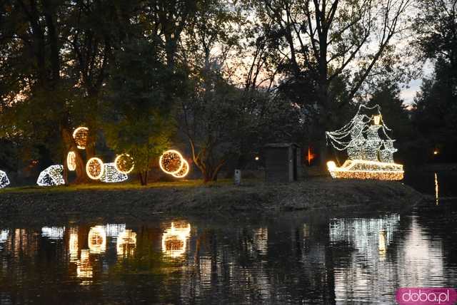 [WIDEO, FOTO] Park Iluminacji w Zamku Topacz pod Wrocławiem już otwarty. Zobacz cennik i godziny otwarcia