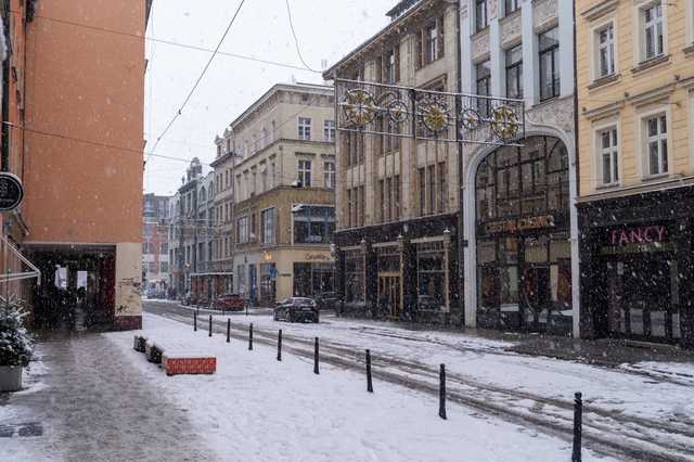 grafika