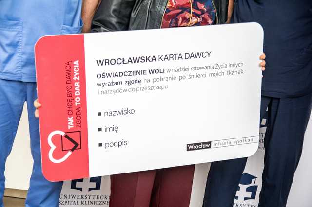 grafika