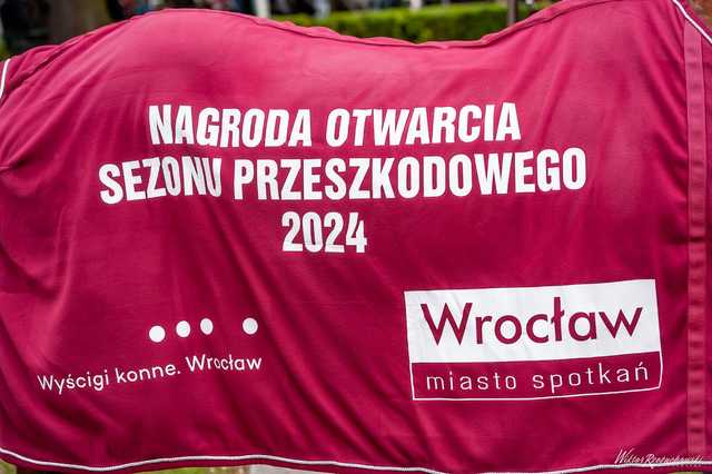 grafika 