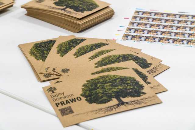 grafika 