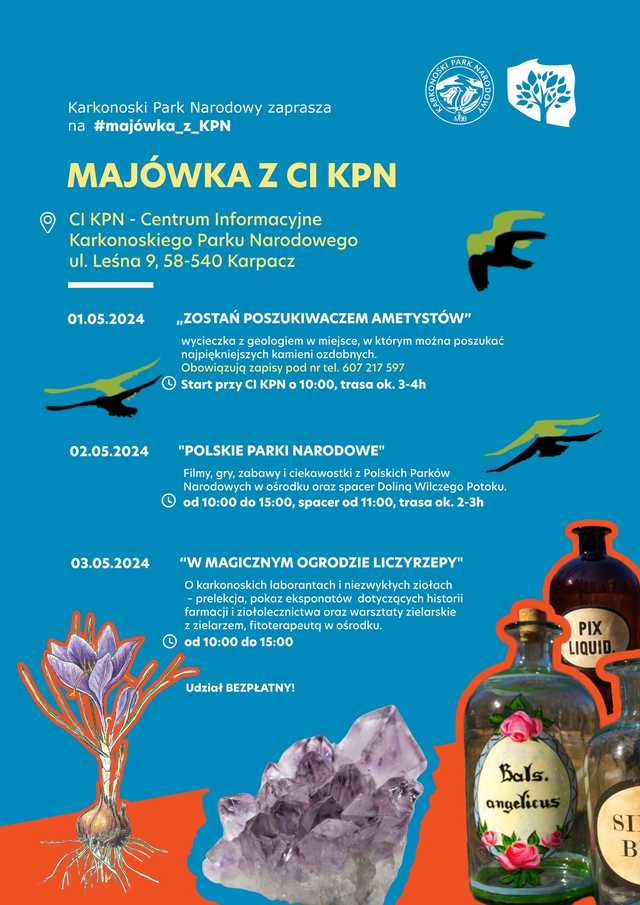 grafika 