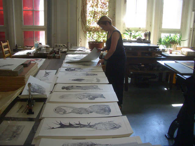 grafika 