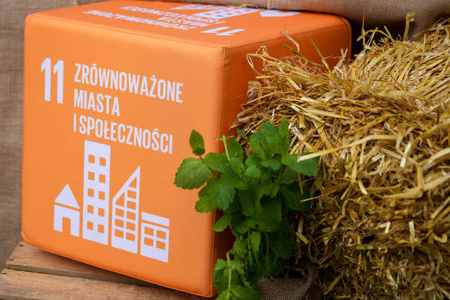 grafika 