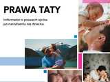 grafika 
