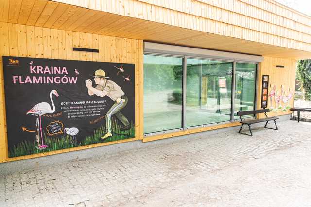 grafika 