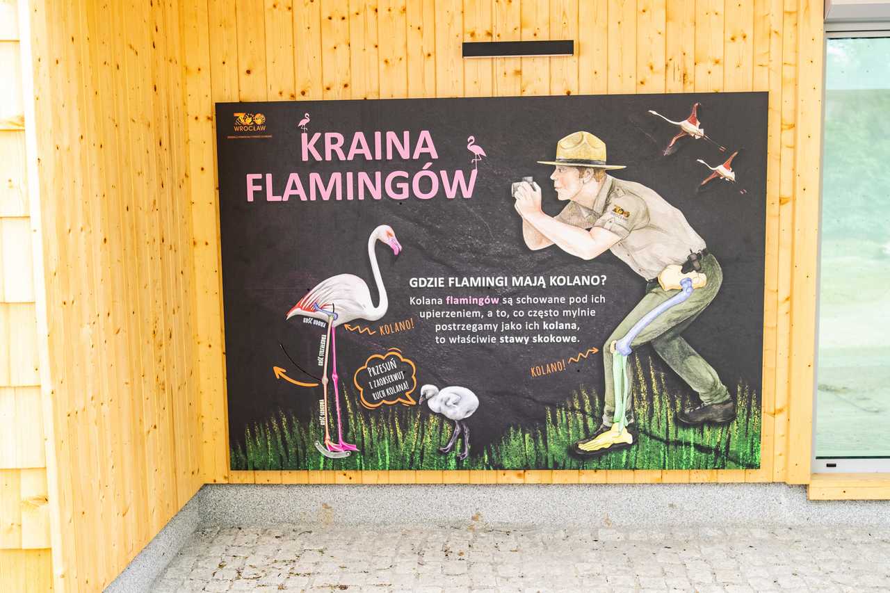 grafika 