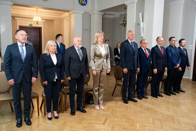 grafika 