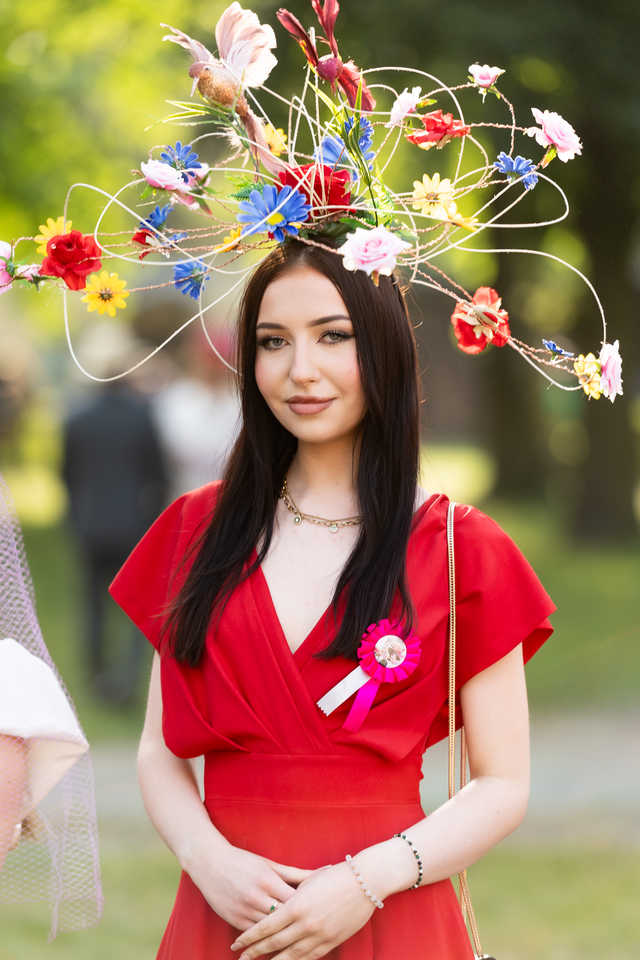 grafika 