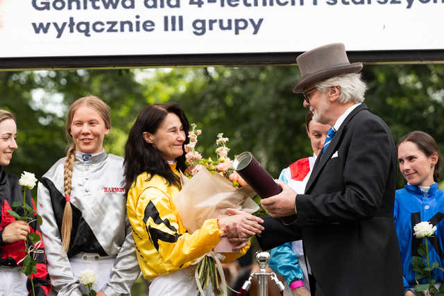 grafika 