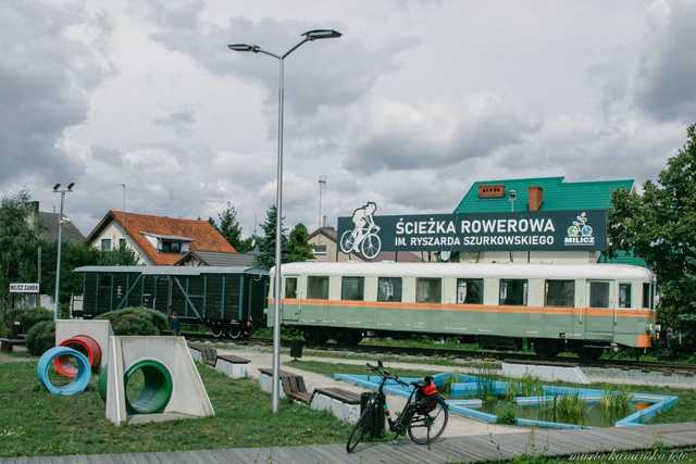 grafika 