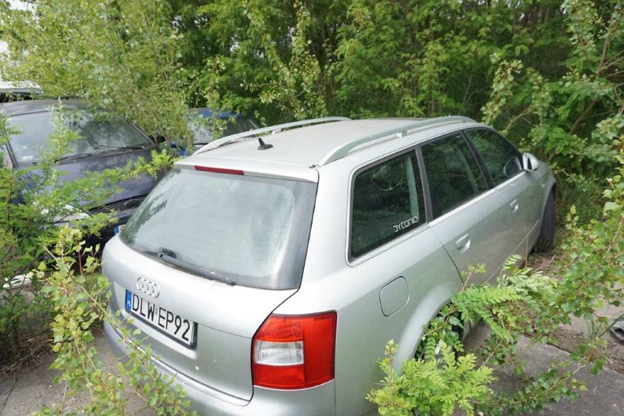 grafika 