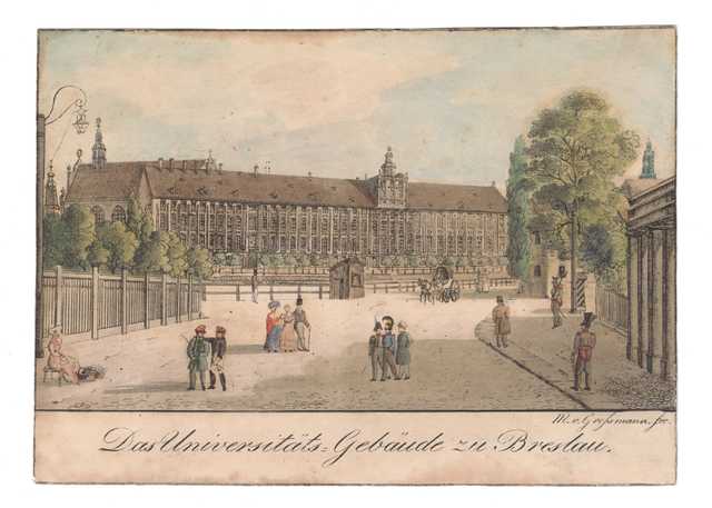 grafika 