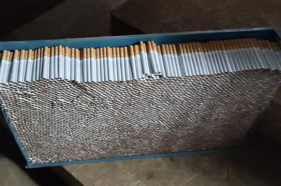 grafika 