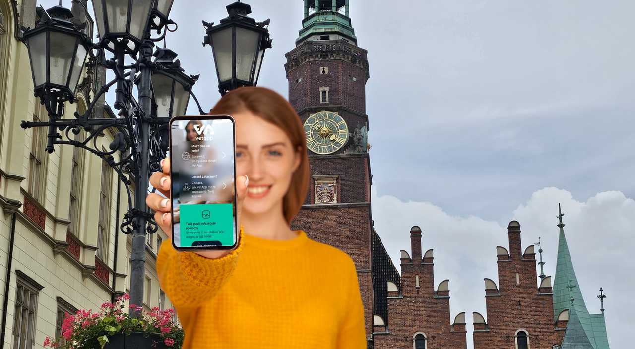 grafika 