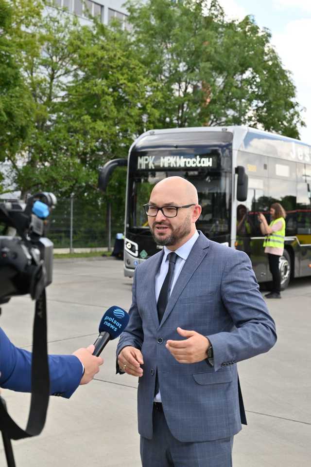 grafika 