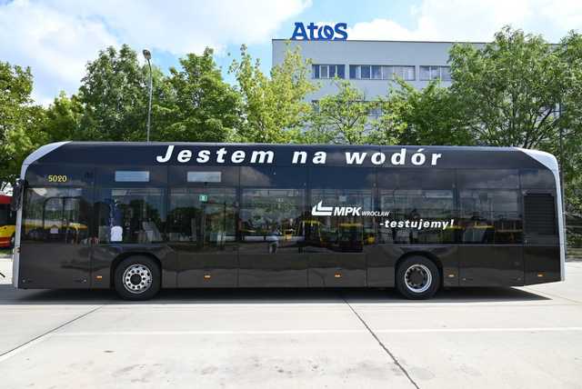 grafika 