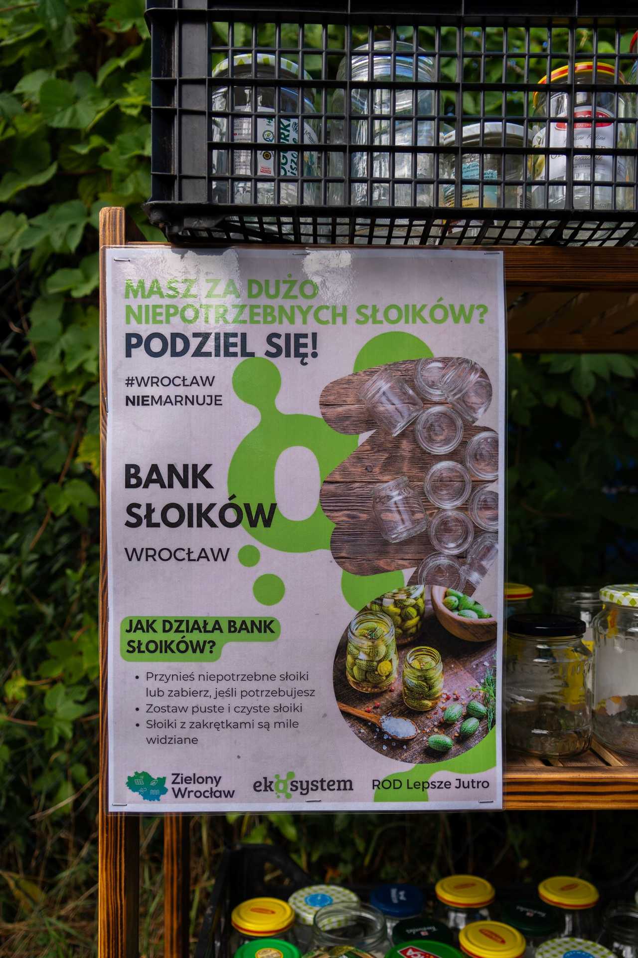 grafika 