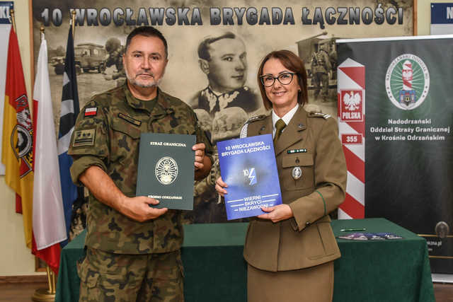 grafika 