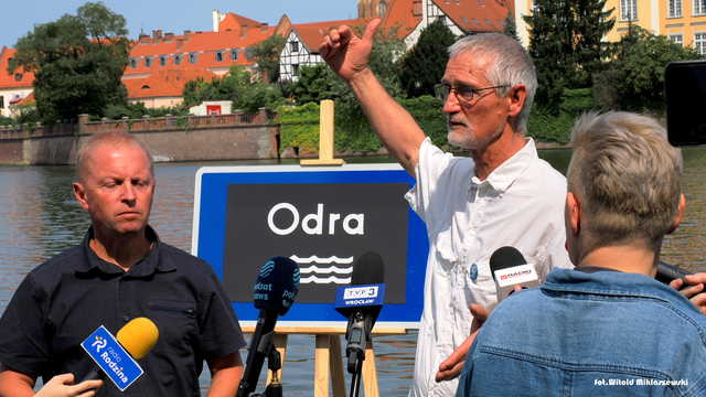grafika 