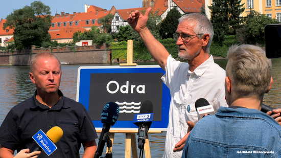 grafika 