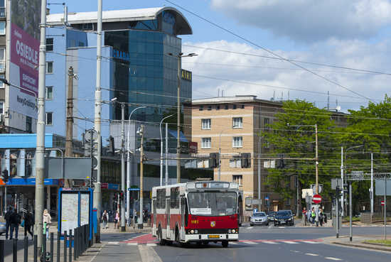 grafika 