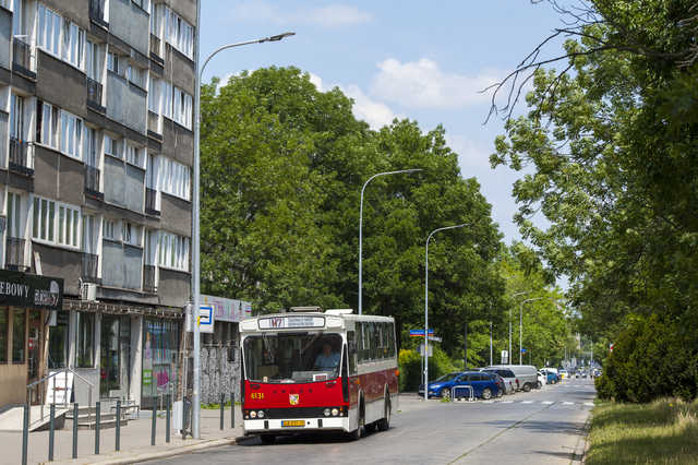 grafika 