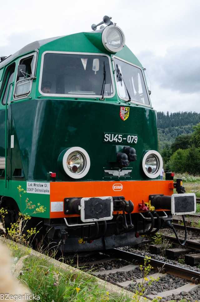 grafika 