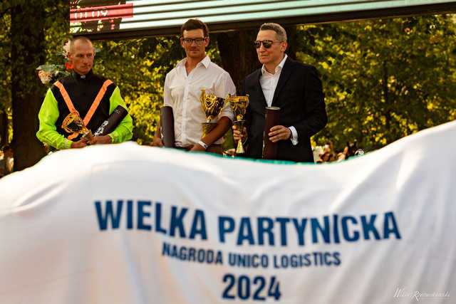 grafika 