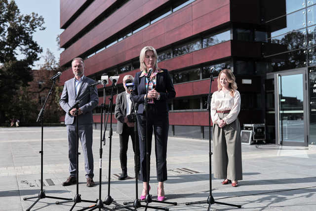 grafika 