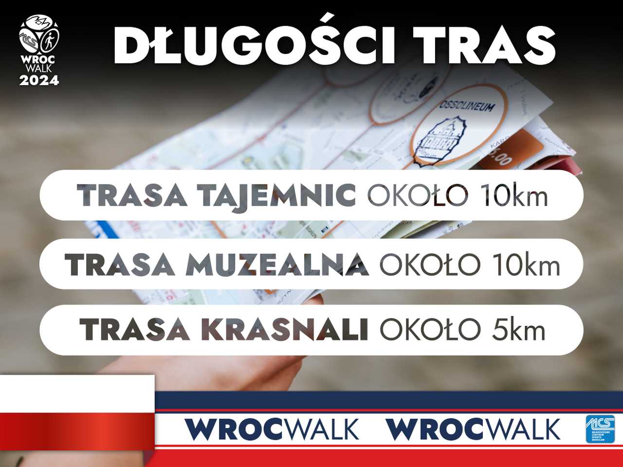grafika 