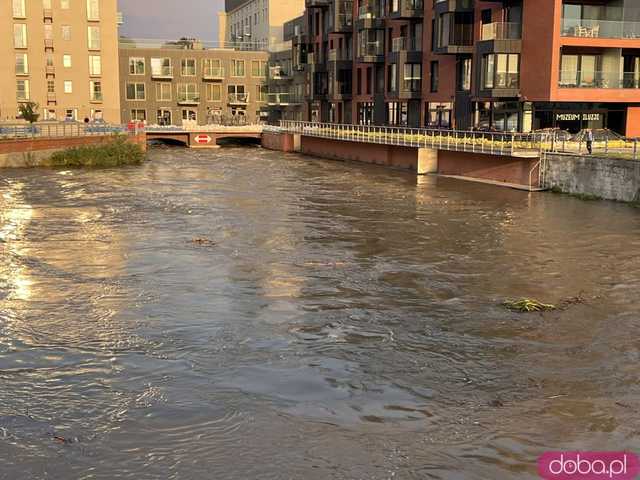Wrocław: na kilka godzin przed falą kulminacyjną 