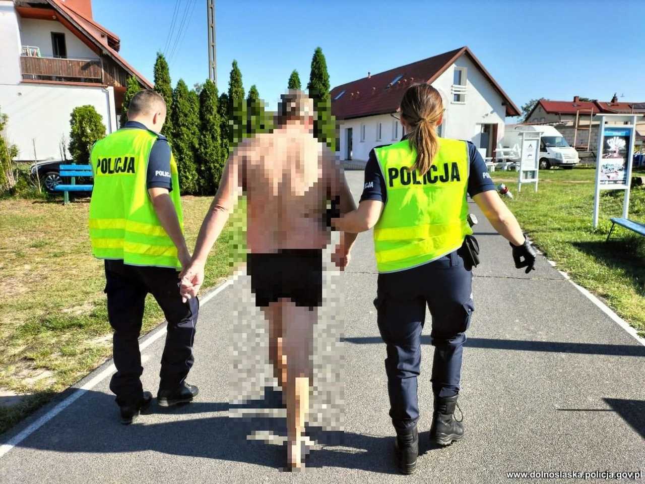 grafika 