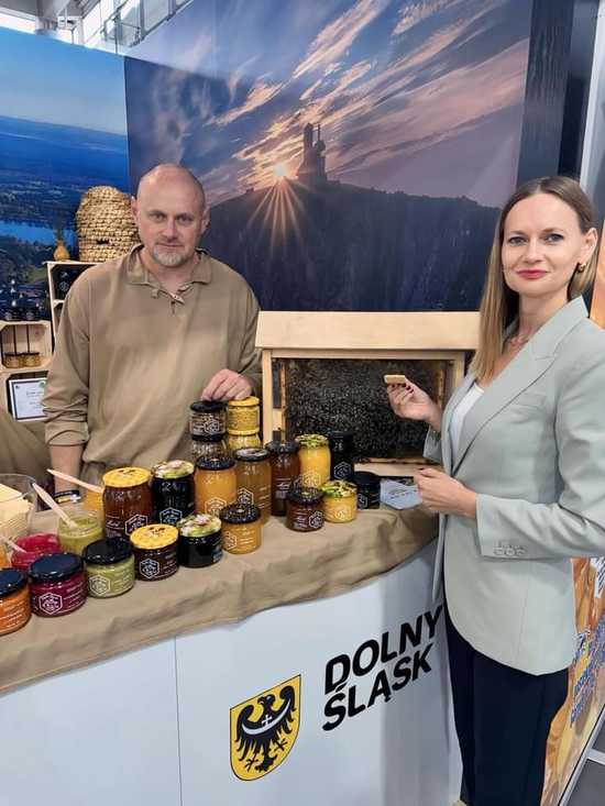 grafika 