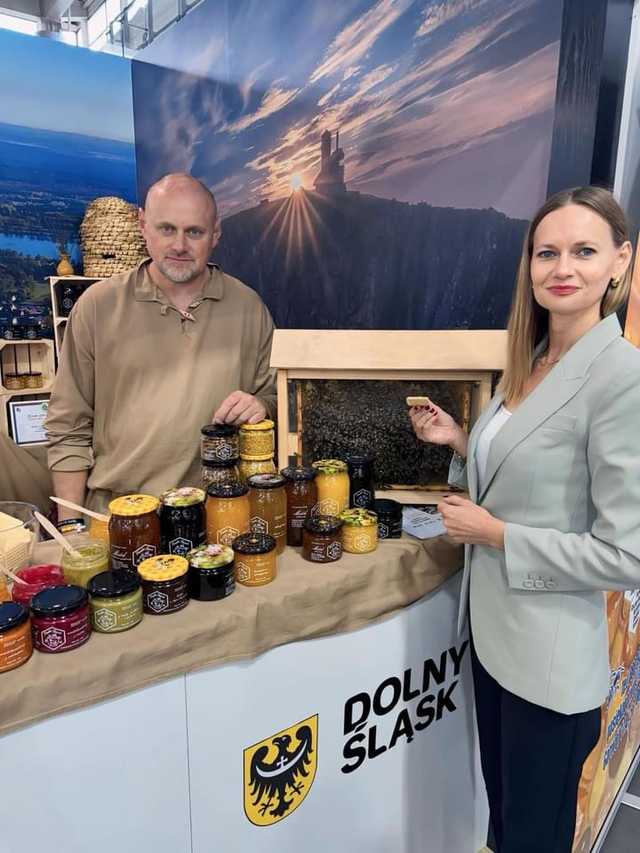 grafika 