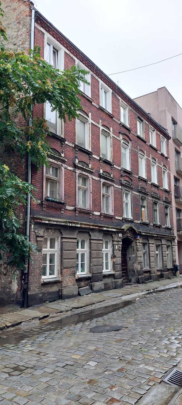 grafika 