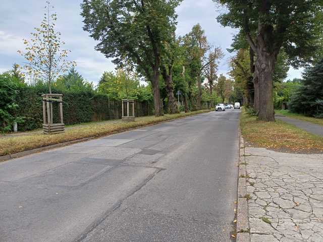 grafika 